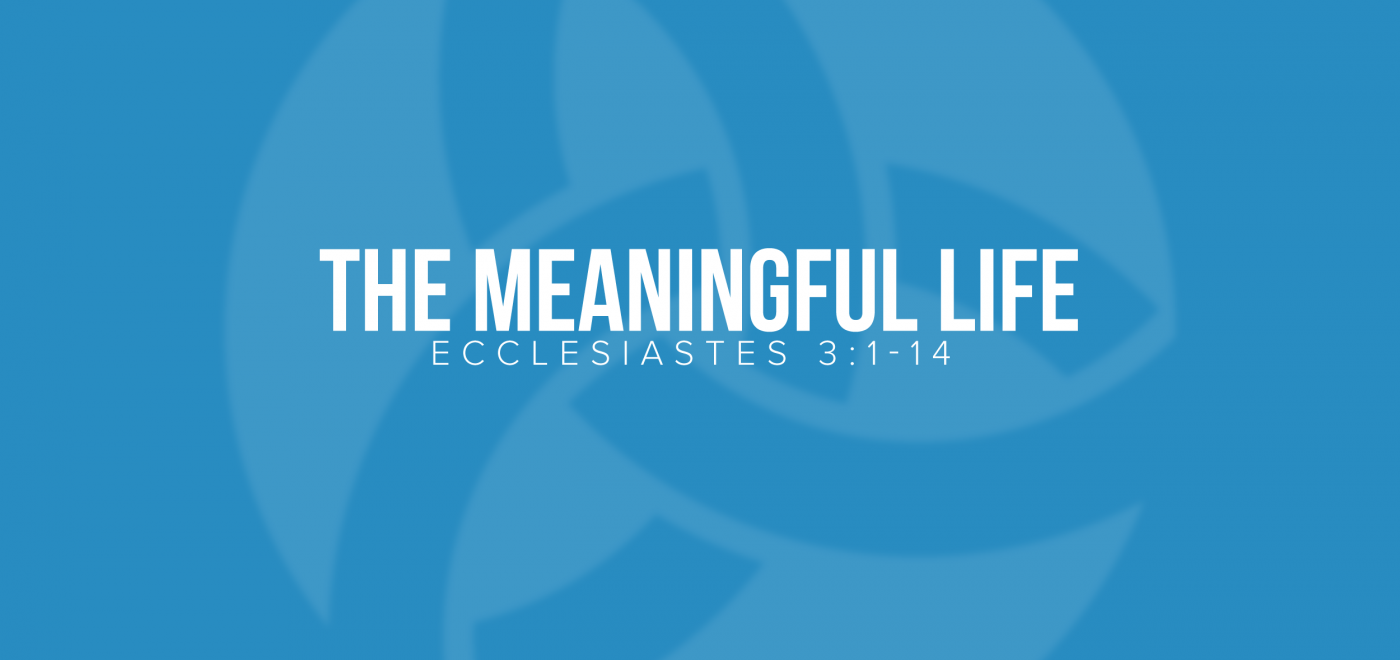 The Meaningful Life